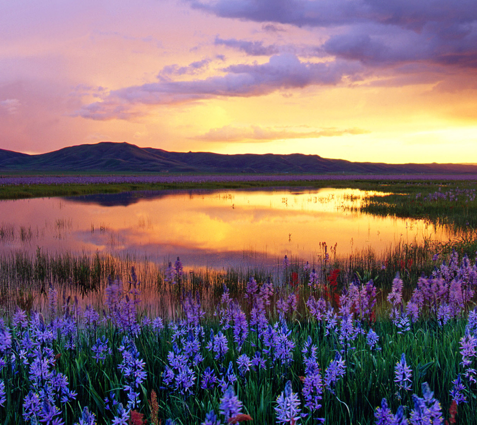 Camas Prairie at Sunset, Idaho, USA