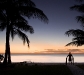 droid_wp_885