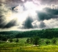 droid_wp_890