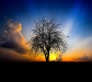 droid_wp_902