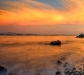 droid_wp_919