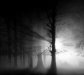 droidghostfog
