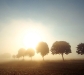 landscapes6